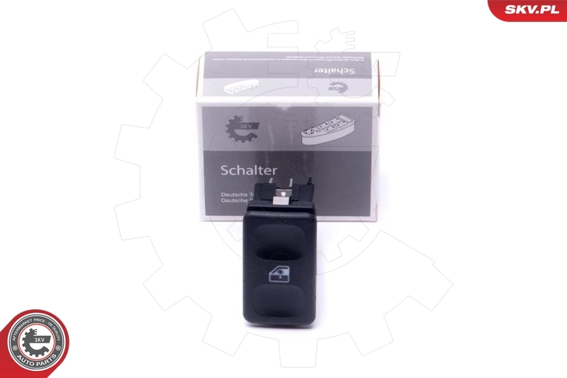 Switch, window regulator